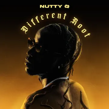 Cover Art For 