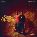 ZILLA – Signs and Wonders ft. Billirano